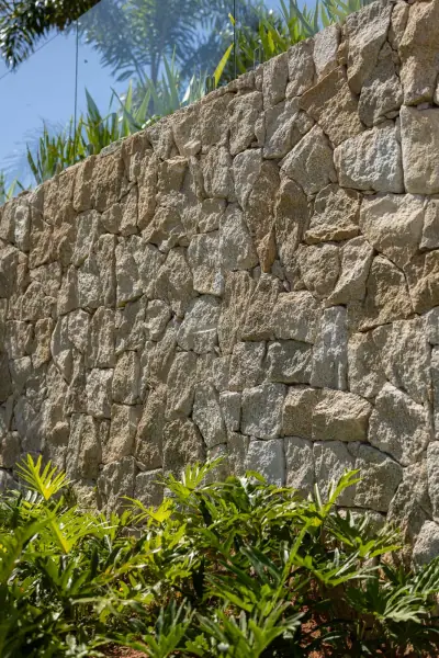 Moledo Champagne aplicada em jardins e paisagismo